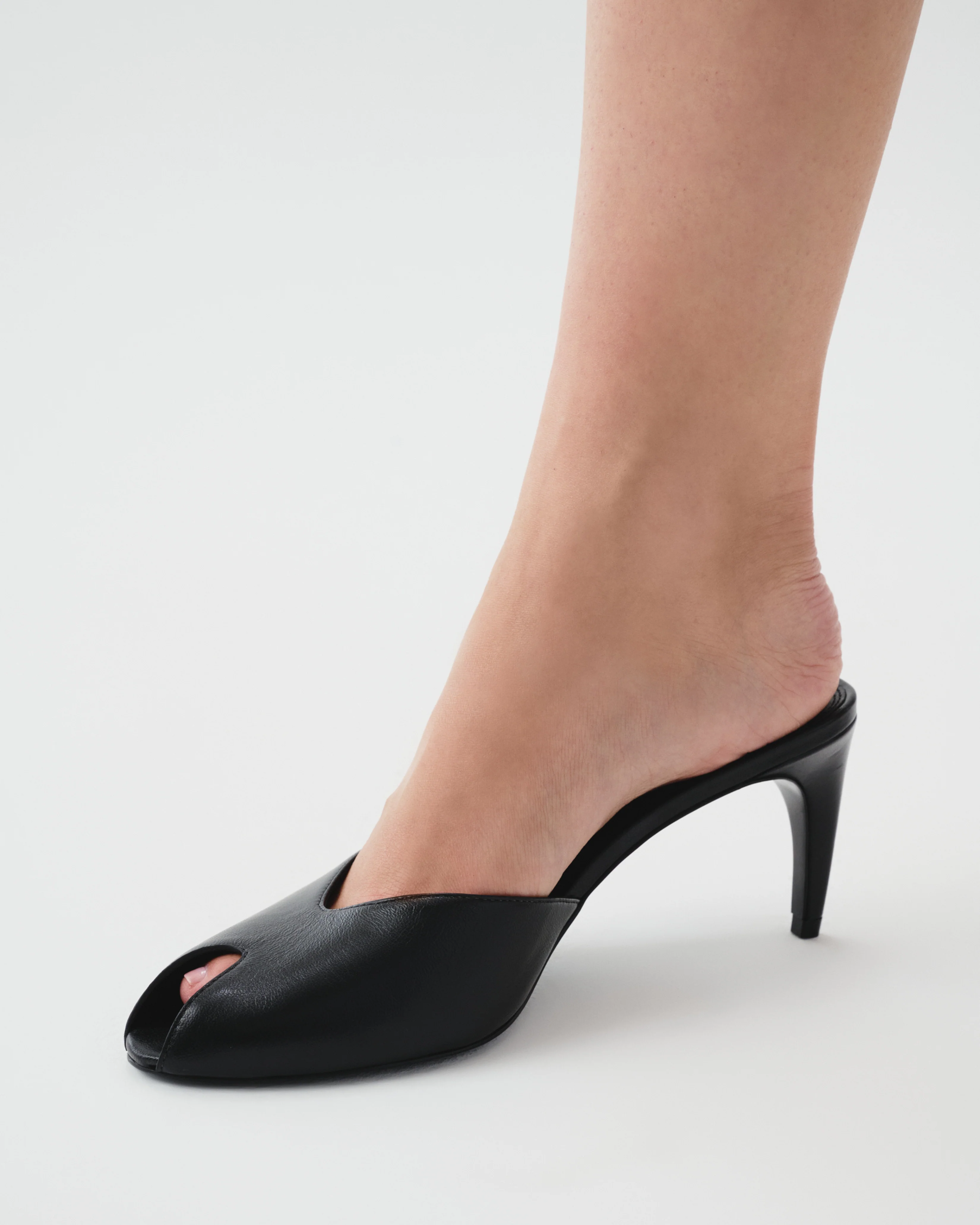 Dovie 70 Mule - Image 7