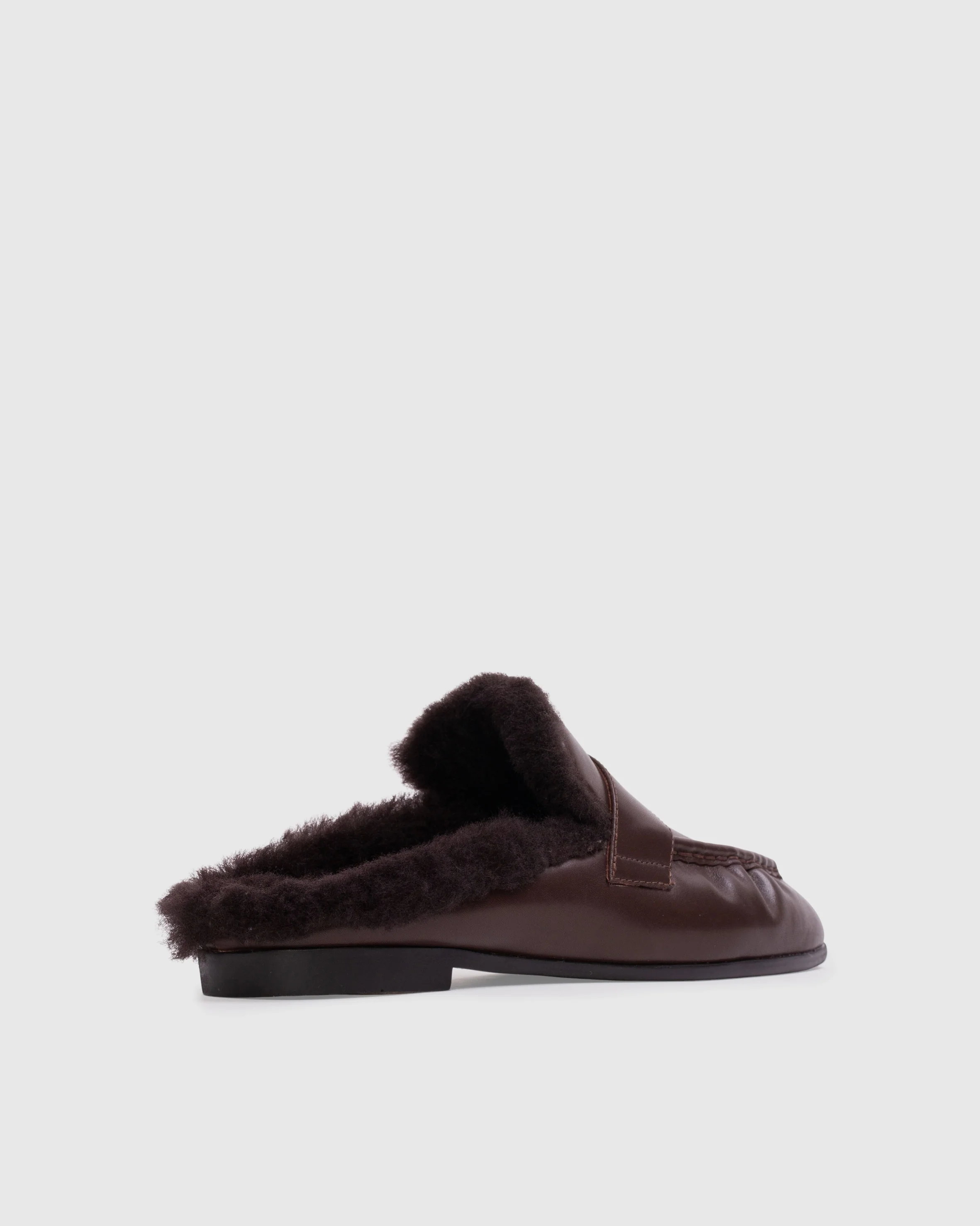 Theo Mule - Image 5