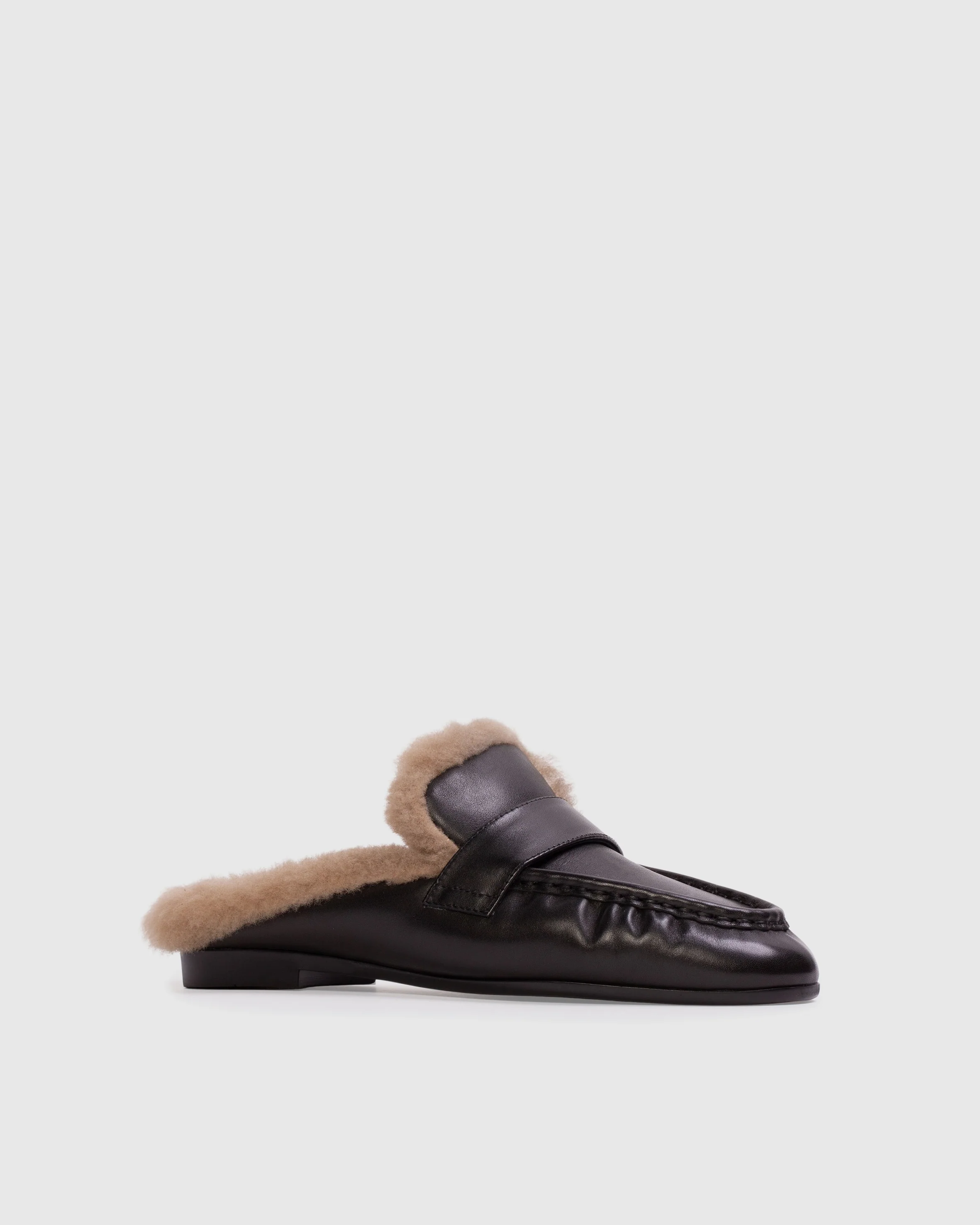 Theo Mule - Image 3