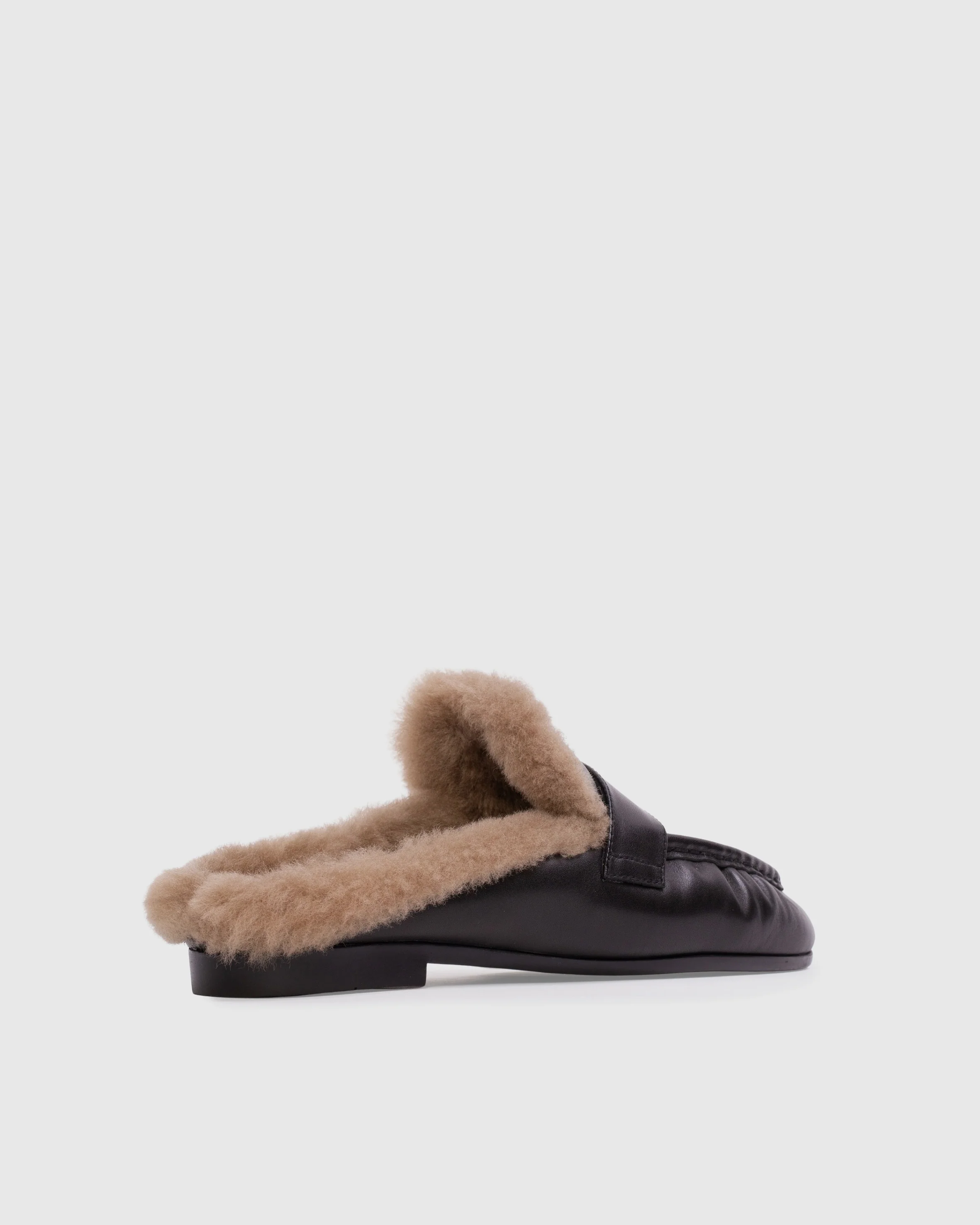 Theo Mule - Image 5